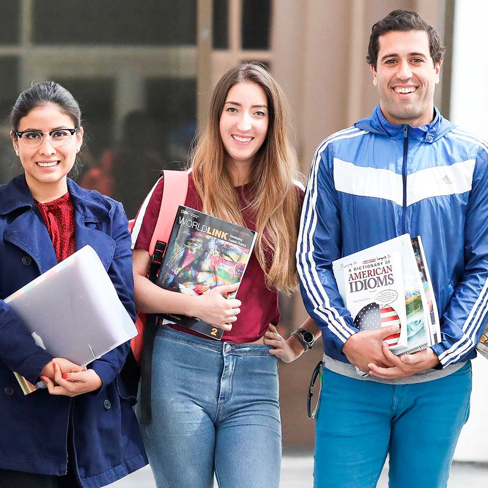 Custom WordPress Development - Language On